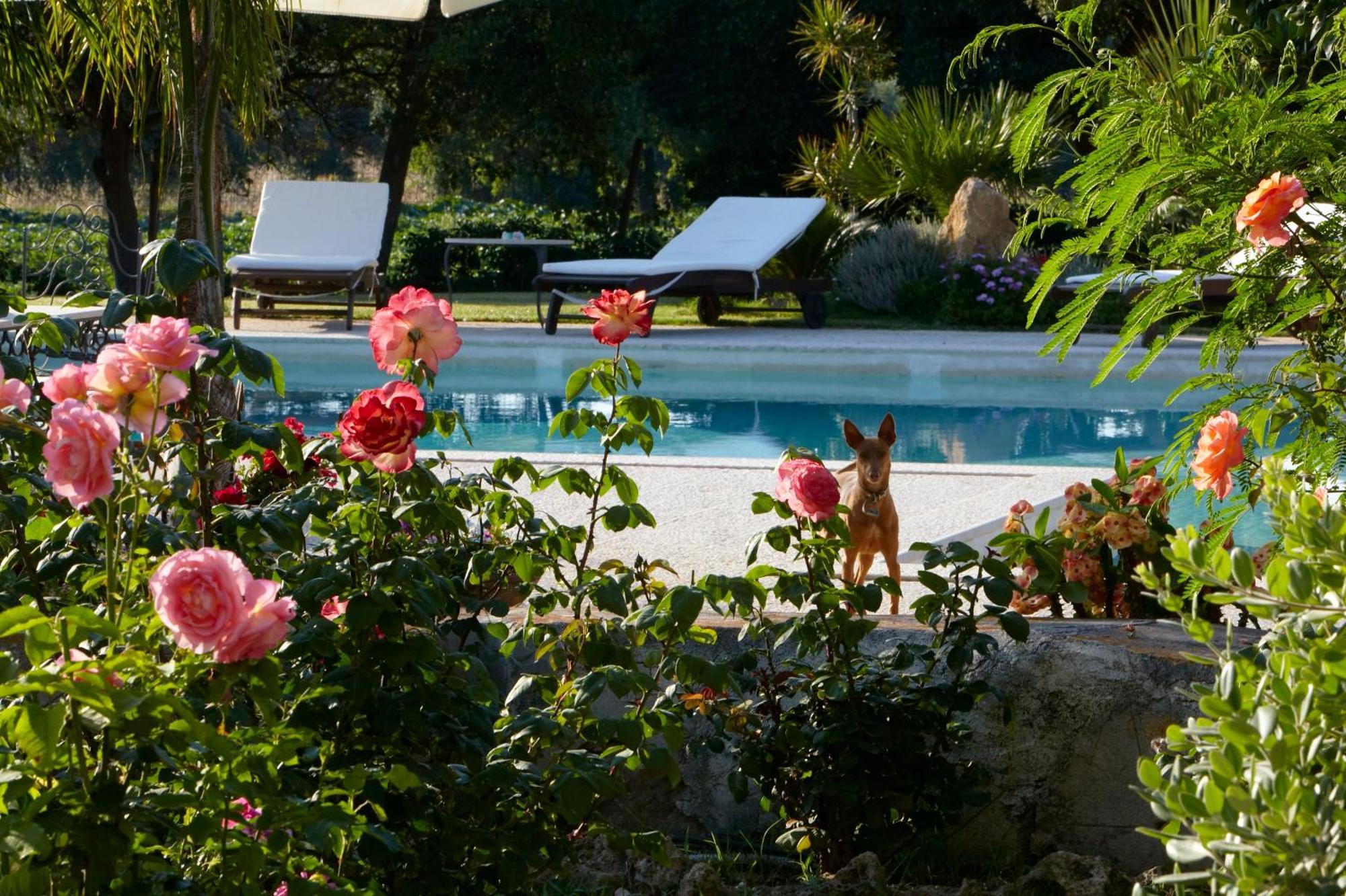 Baglio Sant'Andrea Bed & Breakfast Valderice Bagian luar foto